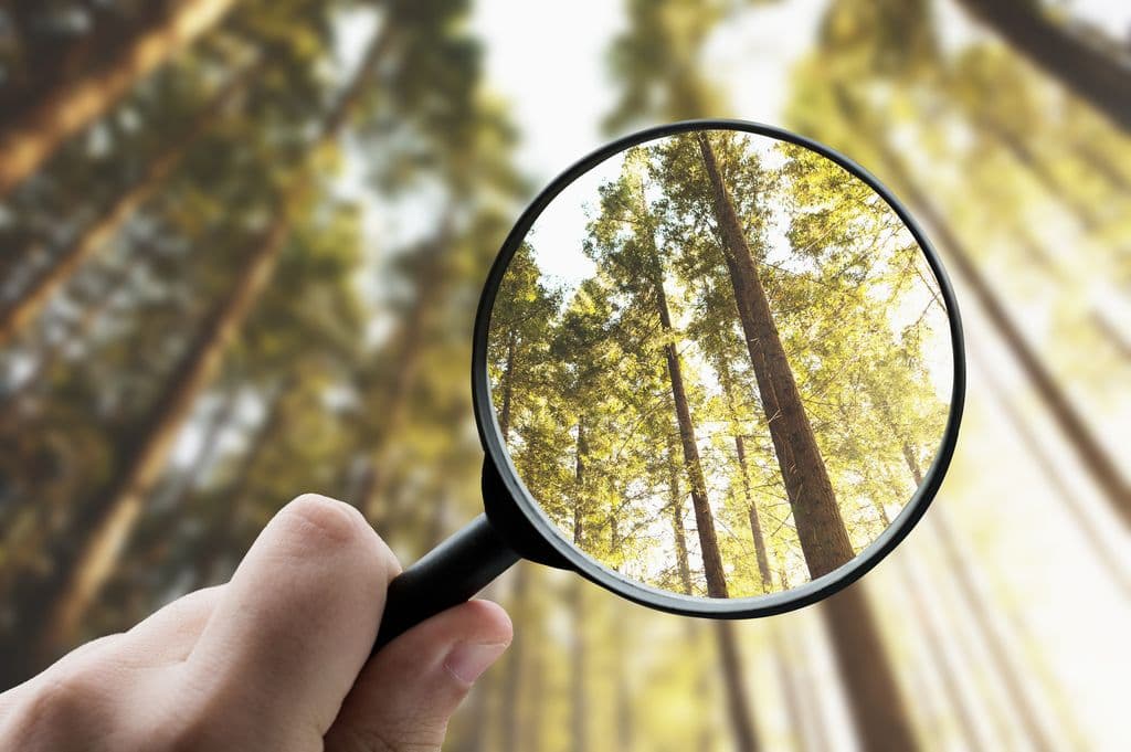 Product Carbon Footprint | PCF