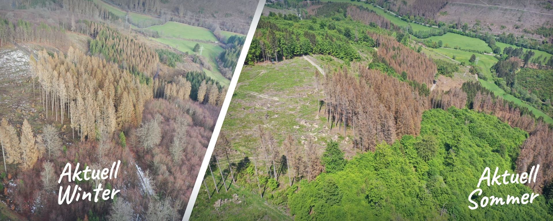 Flemming — 56 Hektar Waldfläche im Hochsauerland