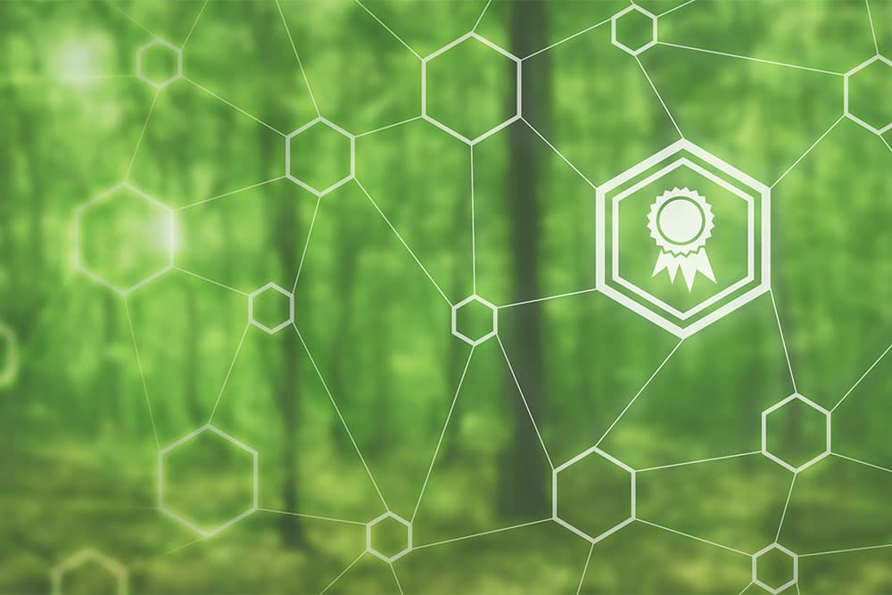 GREENZERO CO₂-Zertifikat: regional renaturierter Wald in Deutschland