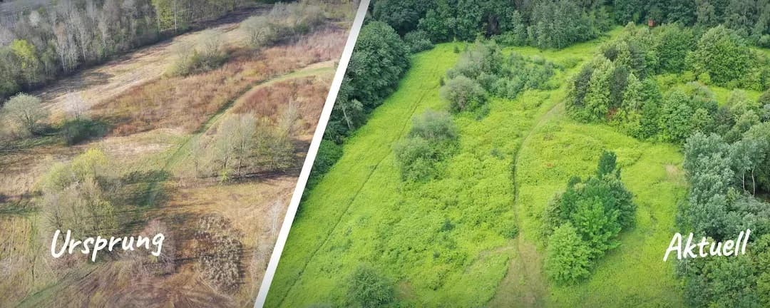 Kurl 3 — ehemaliger Wetterschacht entwickelt sich zur artenreichen Insel