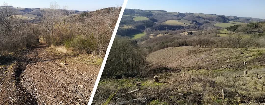 Olmo — 6,5 Hektar Waldfläche im Kreis Bitburg-Prüm