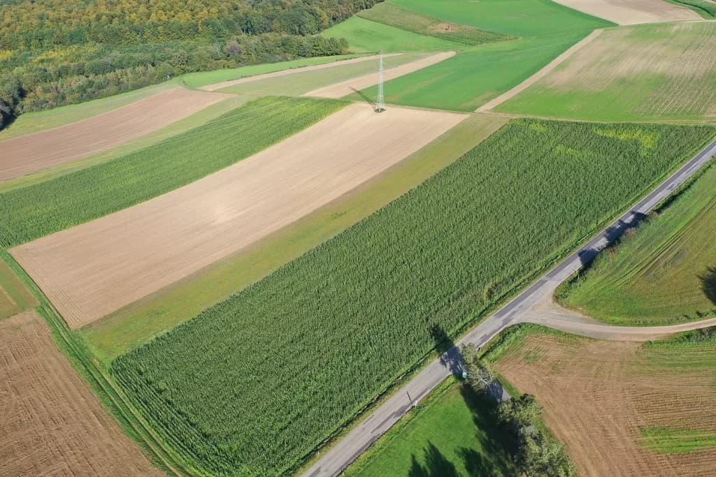 Fläche Extensive Landwirtschaft