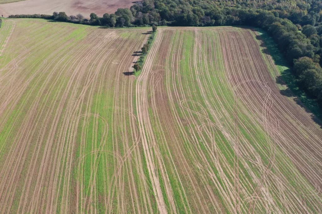 Pilotprojekt nach erster Transformations-Etappe