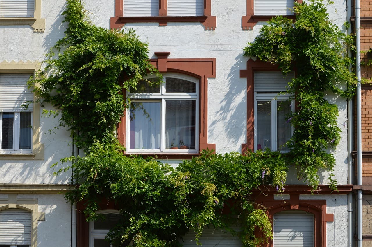 Beitragsbild