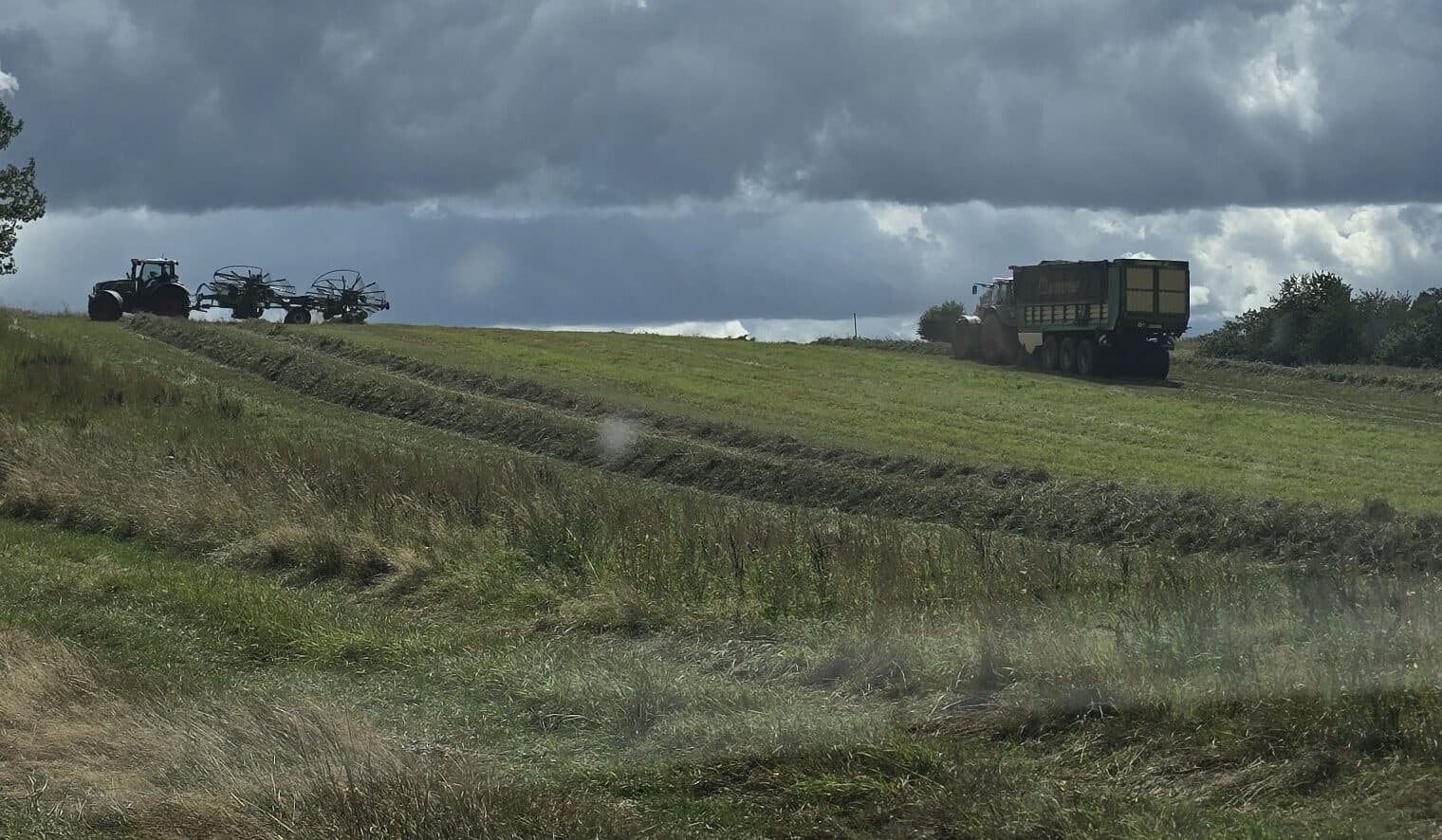 Schwader und Ladewagen