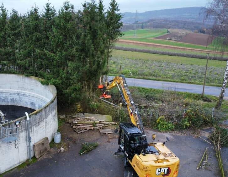 Fällbagger beim Fällen