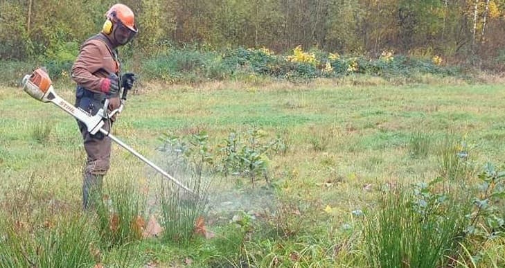 Rückschnitt mit Handfreischneider im Offenland