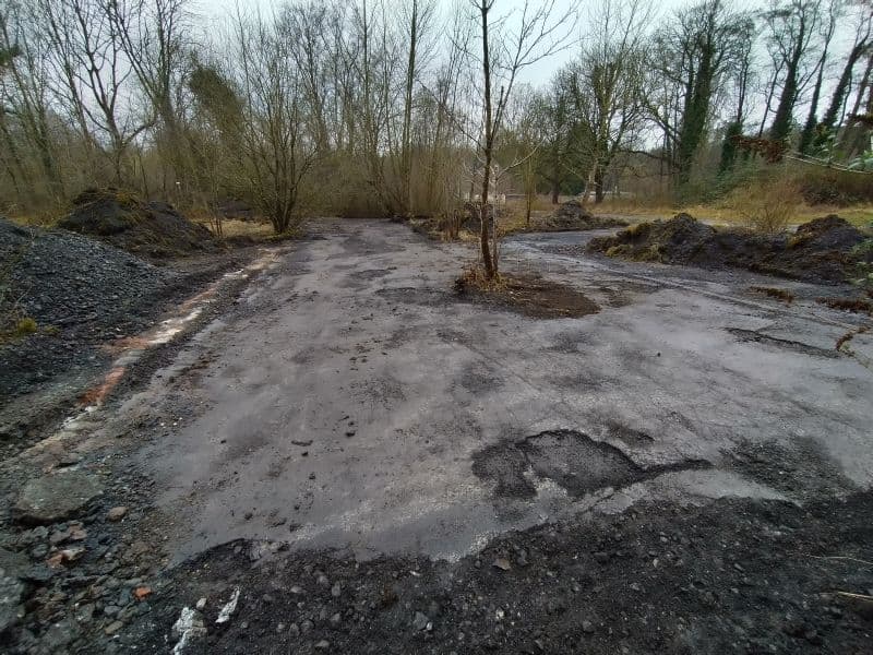 freigelegte Asphaltfläche auf einer Waldfläche
