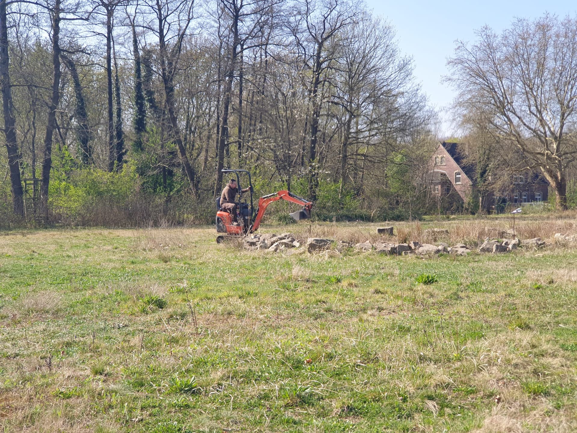 Entfernung tiefer wurzelnder Gewächse mit Mini-Bagger