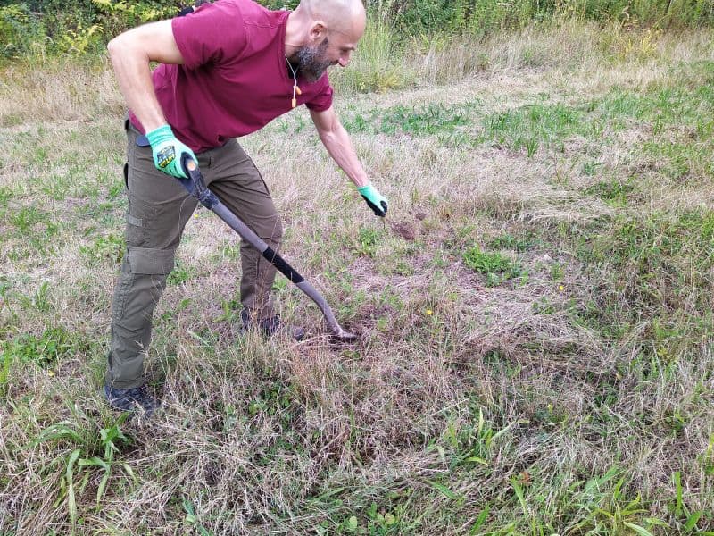Entfernung einzelner invasiver Arten