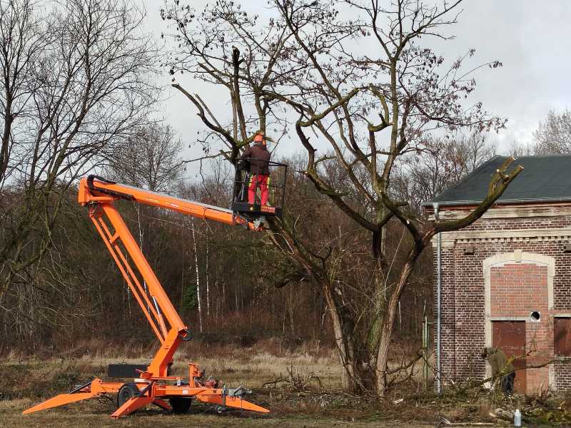 Rückschnittarbeiten mit Hubsteiger