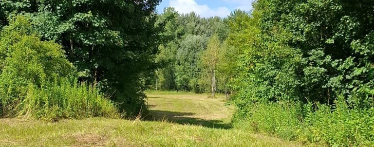 geschnittene Fläche