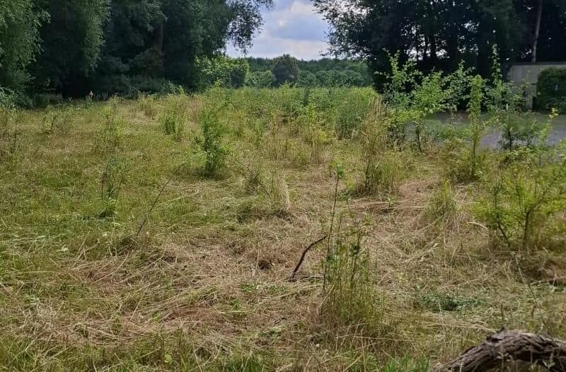 zweite freigeschnittene Fläche