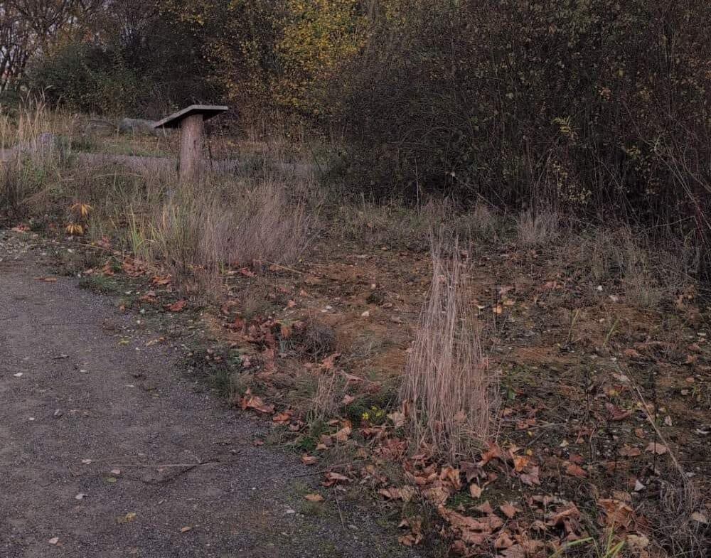 freigeschnittene Fläche