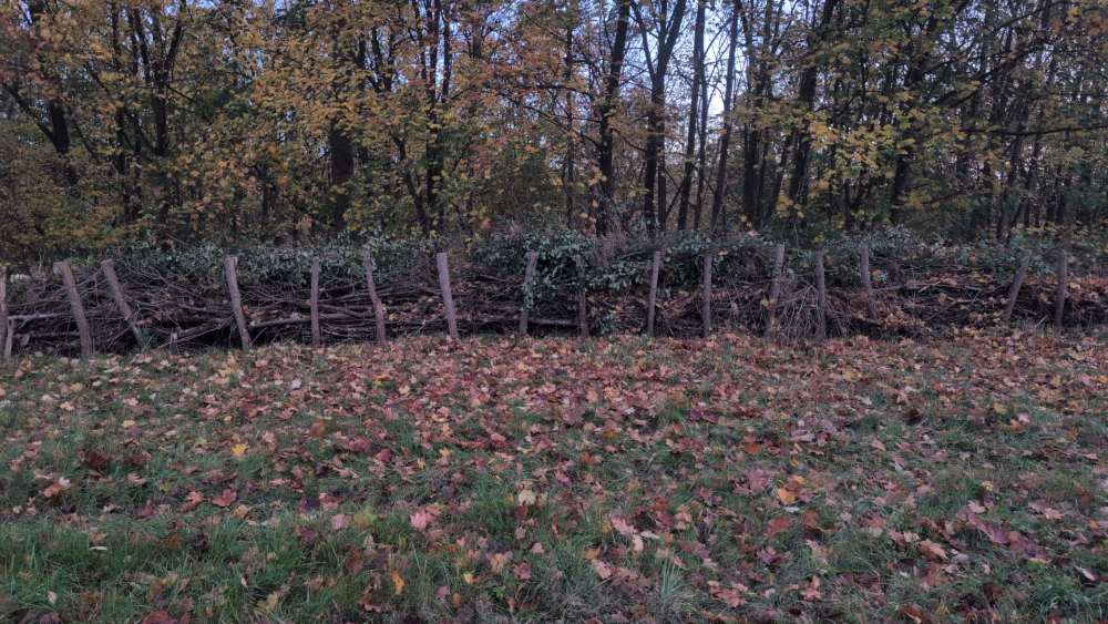 Reisighecke mit neuem Material