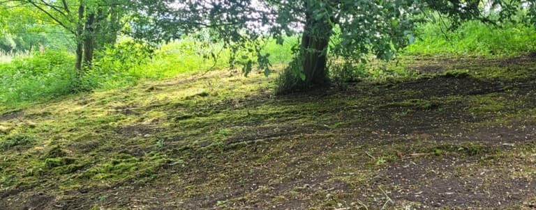 Teilfläche nach der Bearbeitung