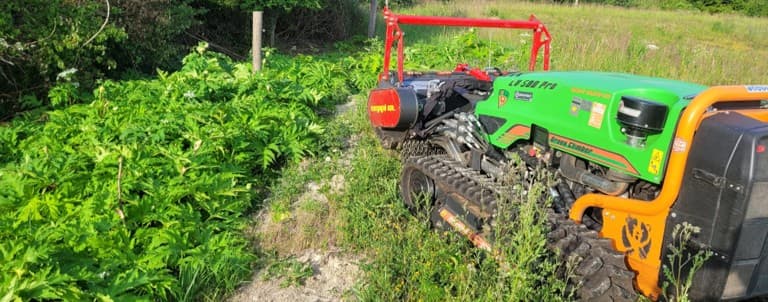 Raupe bei der Arbeit