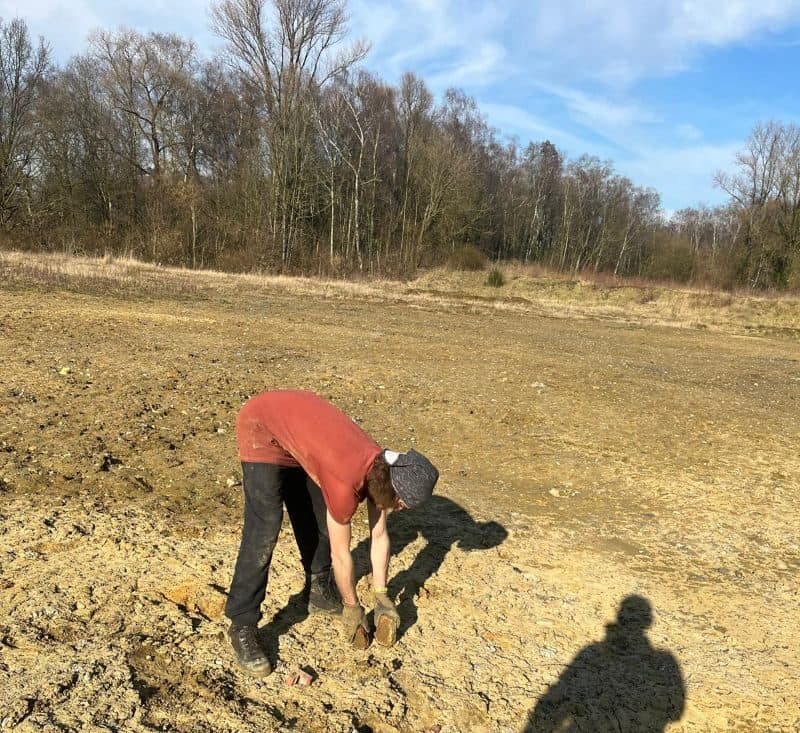 händisches Einsammeln von Steinen und Müll