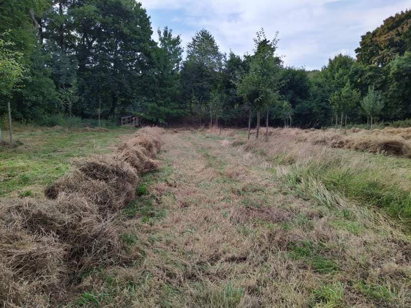abgelagertes Mahdgut vor der Abfahrt auf der Obstwiese