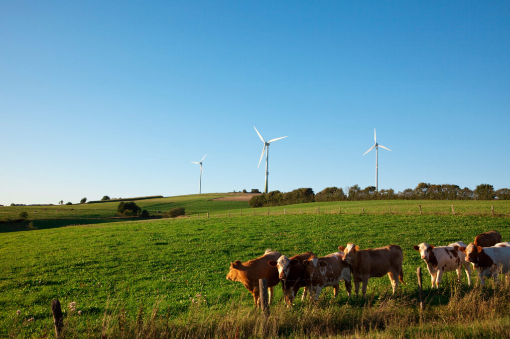 Ökopunkte von GREENZERO kaufen 3 Landschaftsbild kompensieren – mit Ökopunkten von GREENZERO