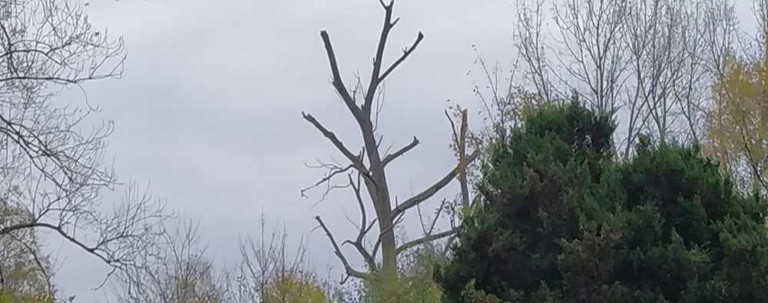 Ewald 202510 Kappung b2