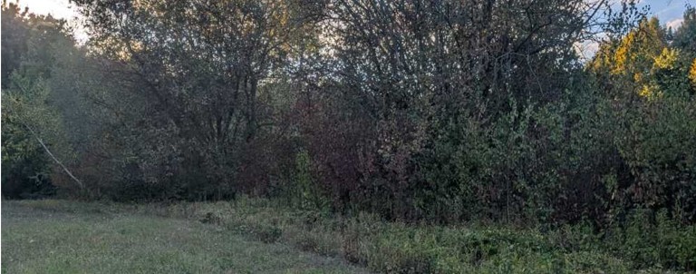 Kurl3 202508 Saummahd b2