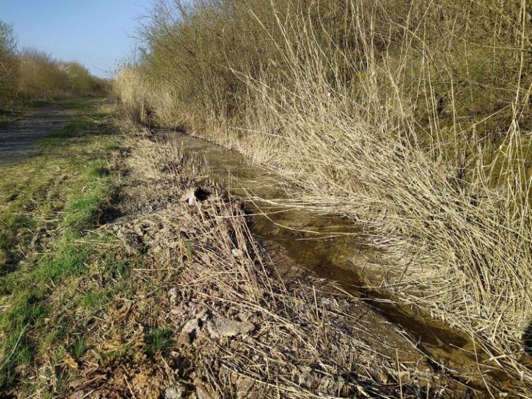 Osthalde Landschaftspflege | Graben mit Wasser und Uferbewuchs