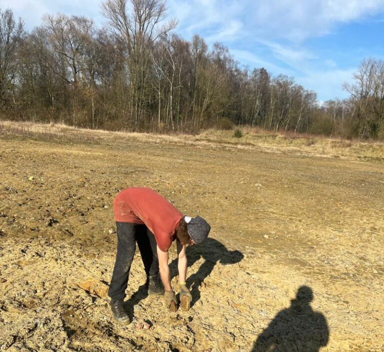Mitarbeiter pflanzt junge Bäume im Projekt Polsum Renaturierung